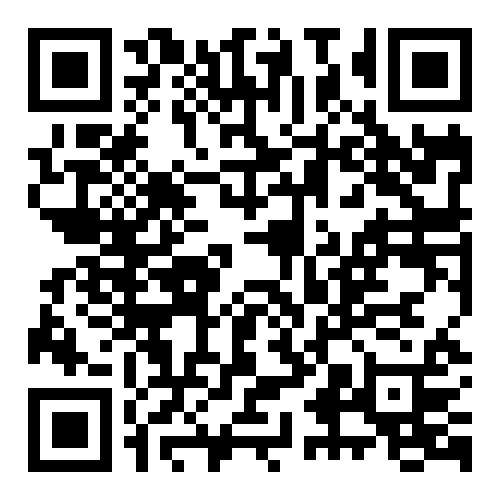 QR Code for online store