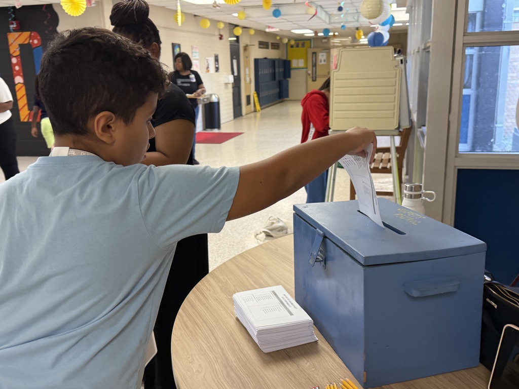 Voting