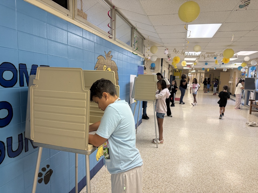 Voting