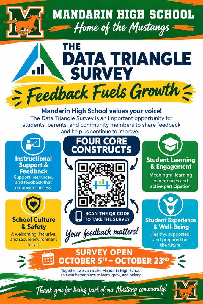 Data Triangle Flyer