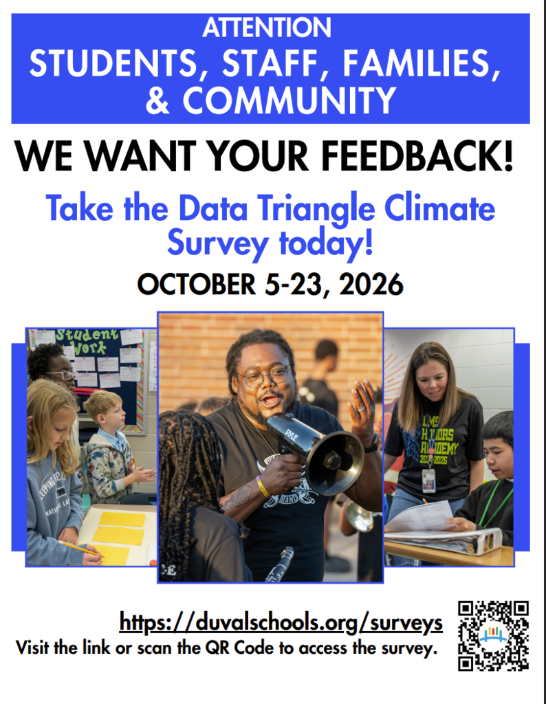 Data Triangle Survey Flyer