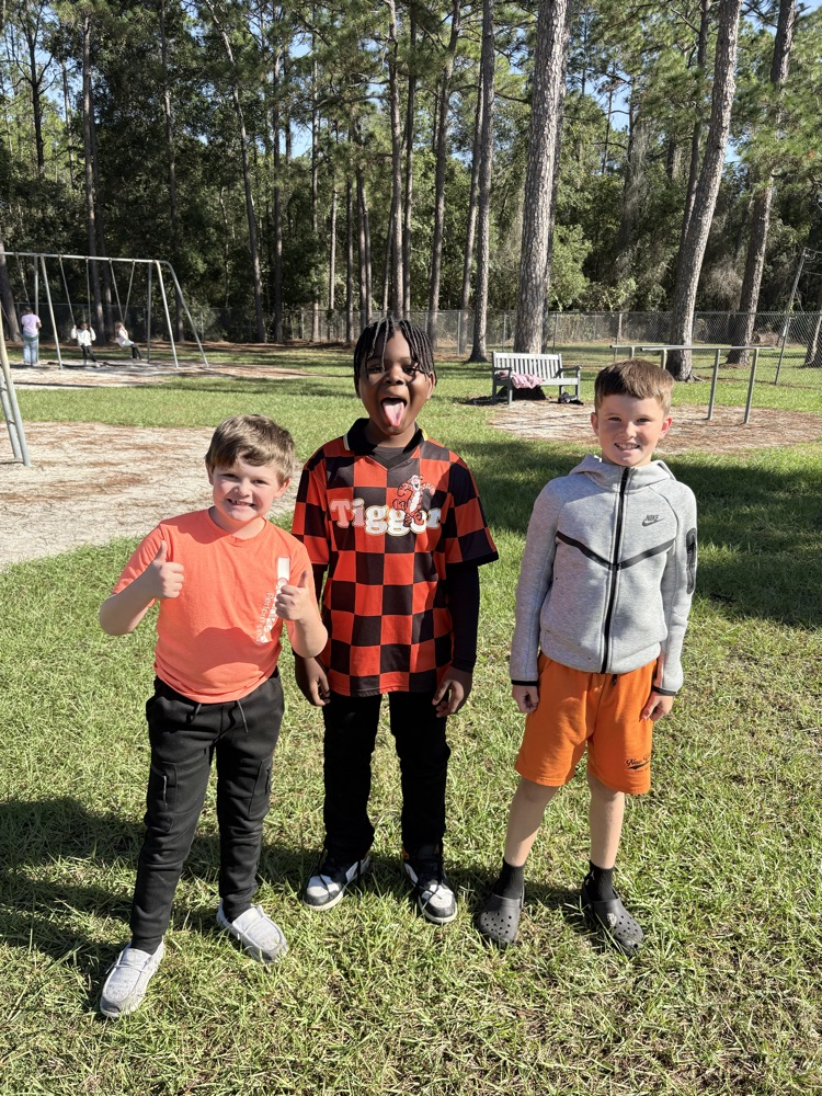 Three boys pose for a photo in a grassy area with trees and a playground in the background.