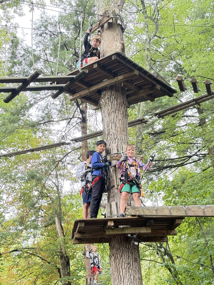 DMS Team 6B climbing trees