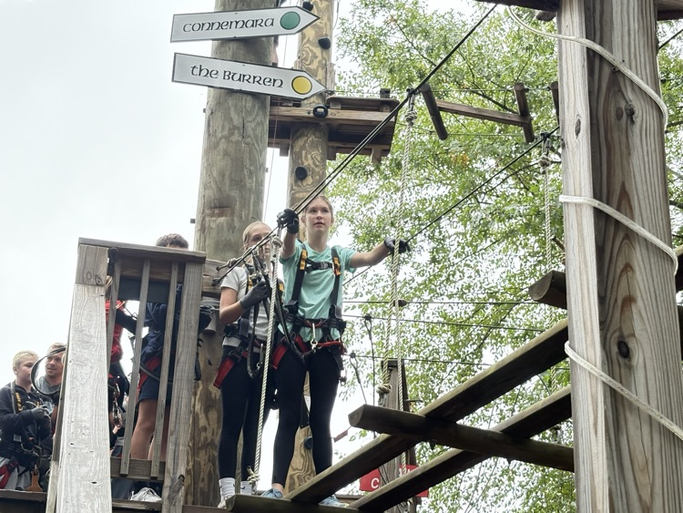DMS Team 6B climbing trees