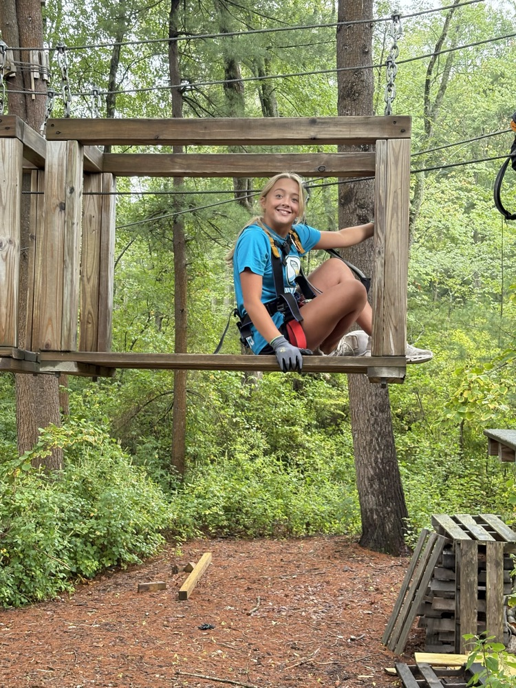 DMS Team 6B climbing trees