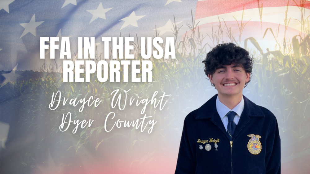 FFA Drayce Wright