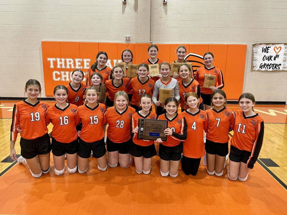 vball nms