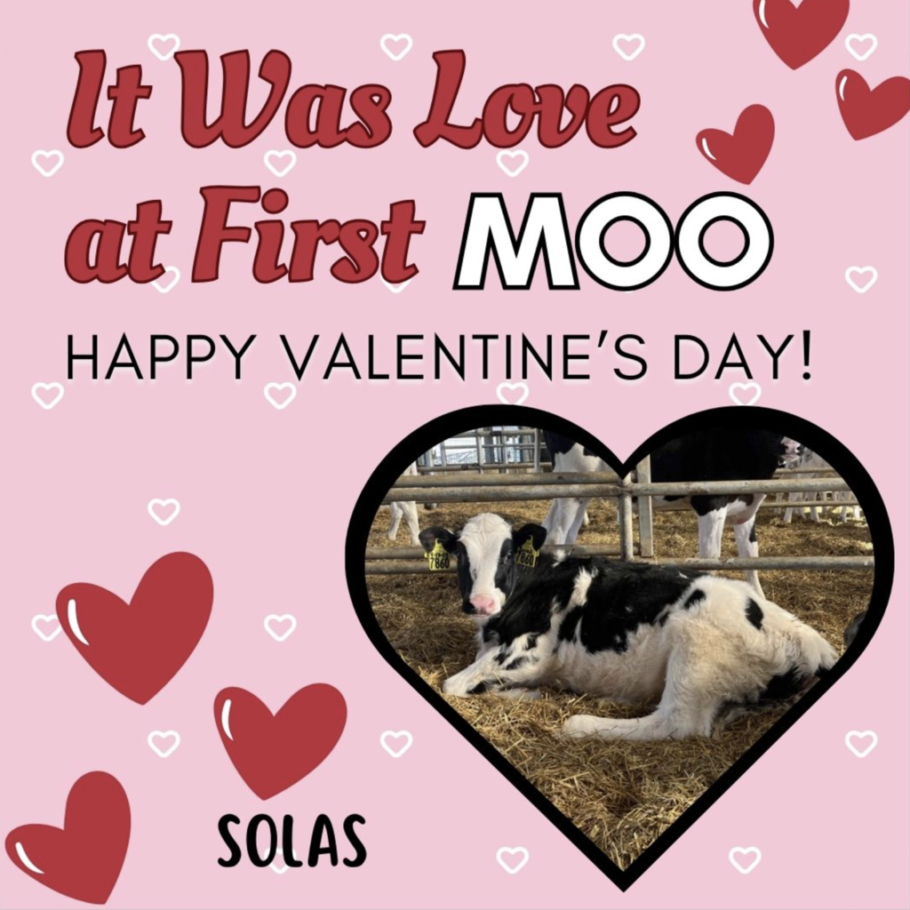 Happy Valentines Day! 