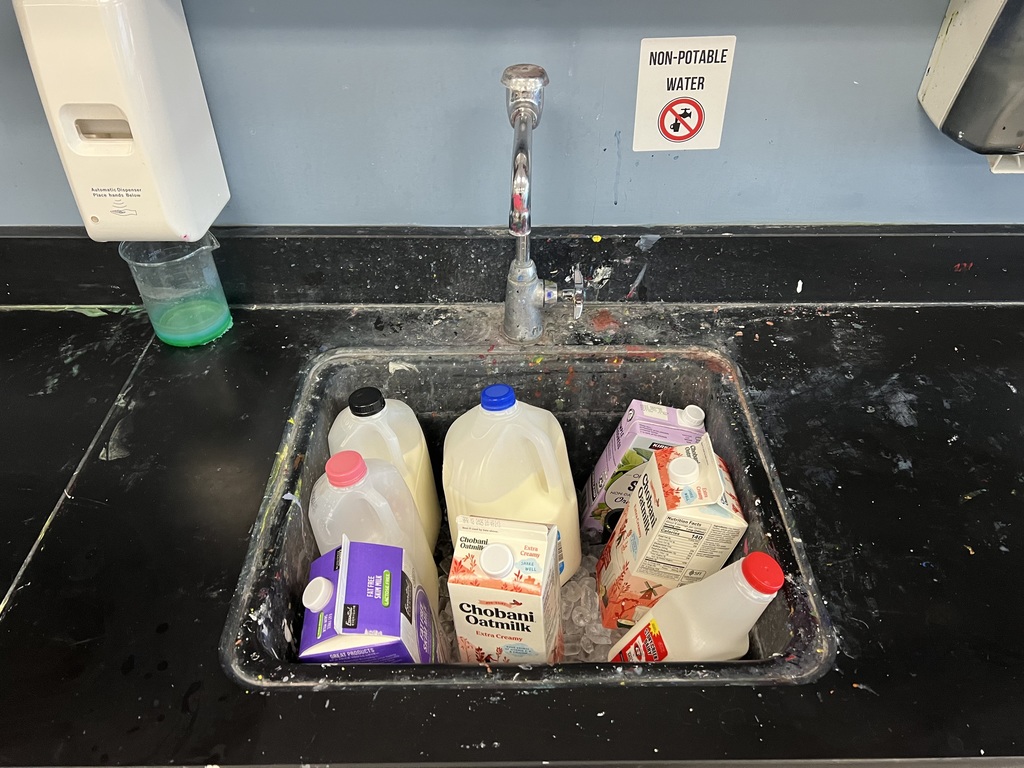 cartons of milk in an art sink