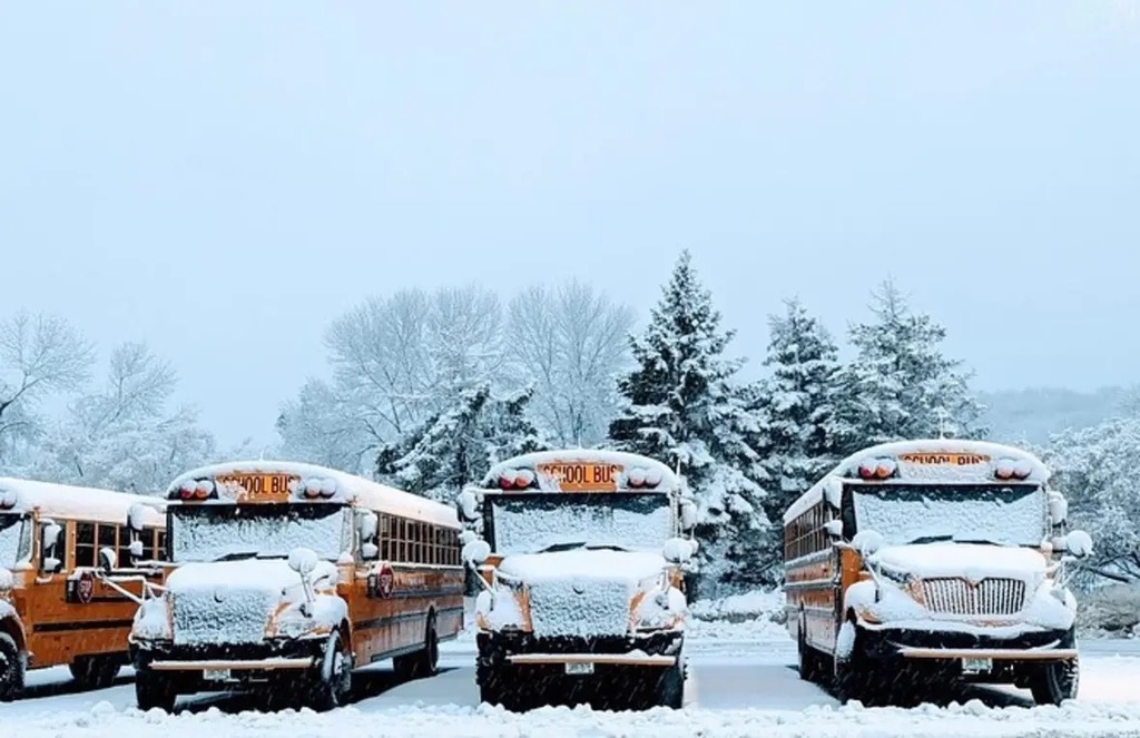 yellow school buses covered in snow