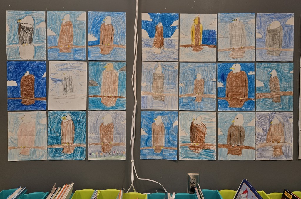 eagle drawings