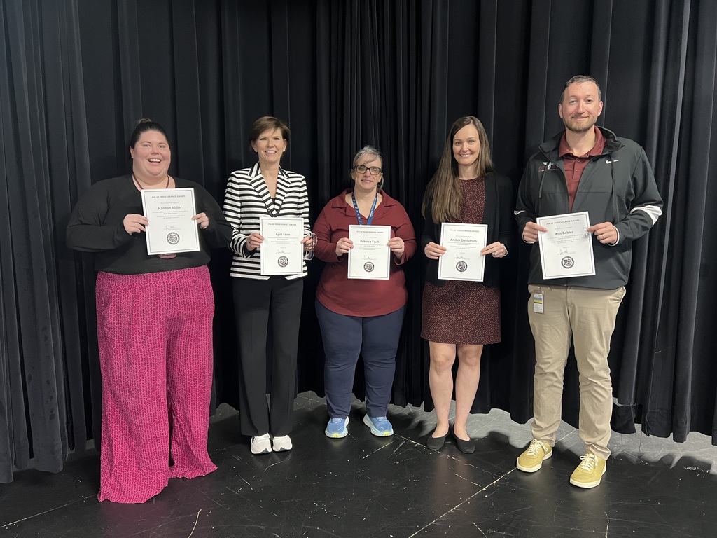 pins of perserverance