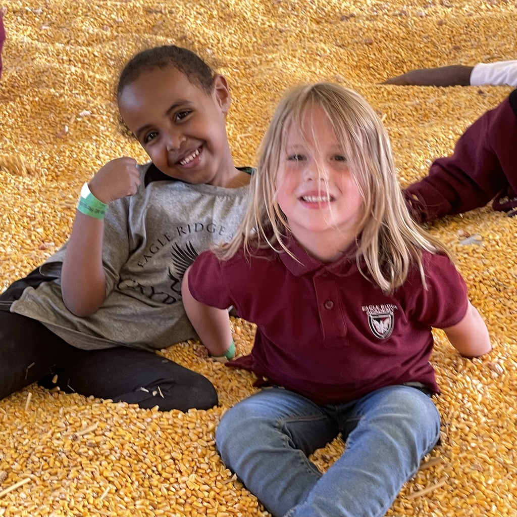Kindergarten students in corn pit