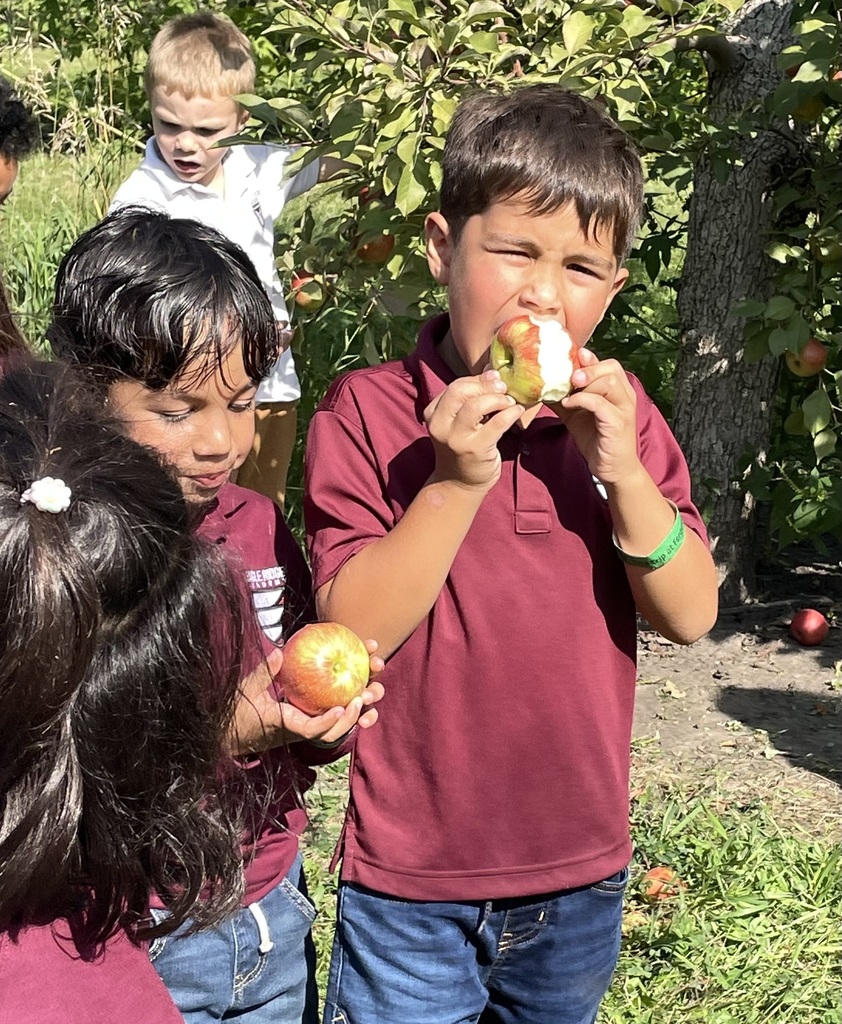 Kindergarten students at apple orchard