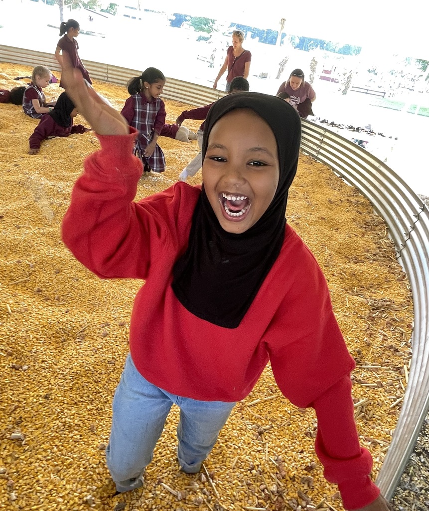 Kindergarten students at apple orchard