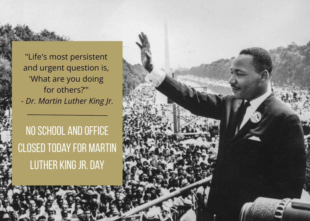 mlk graphic