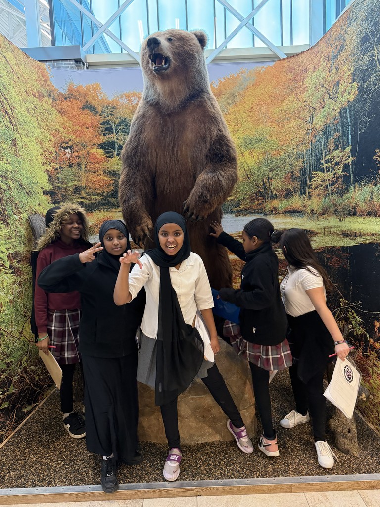 students by a bear