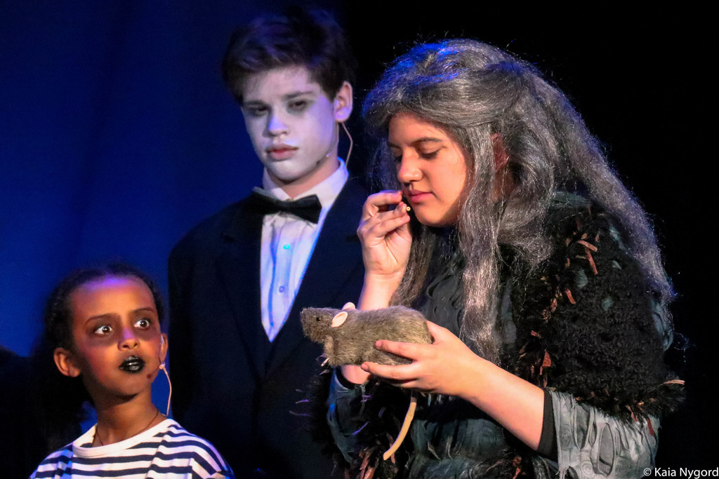 addams family cast photo