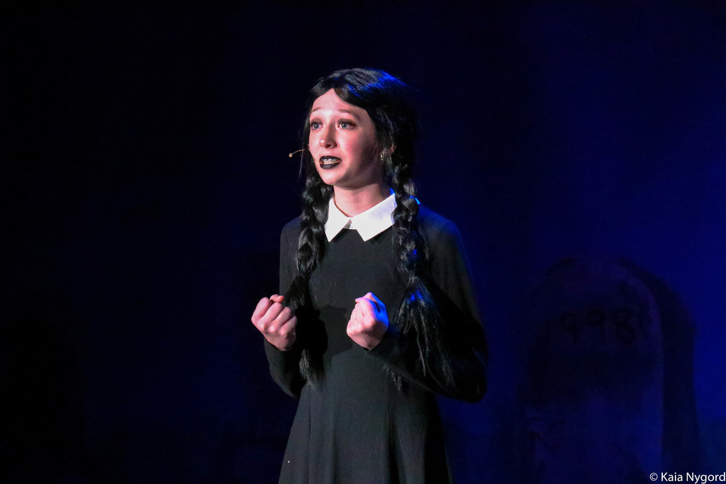 addams family cast photo