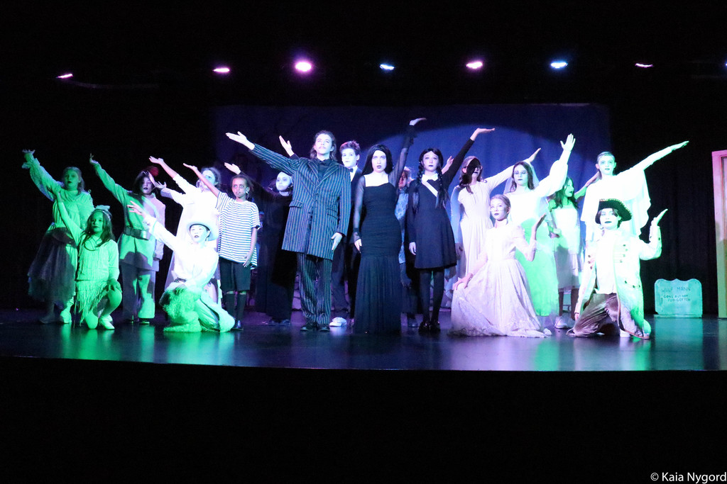 addams family cast photo