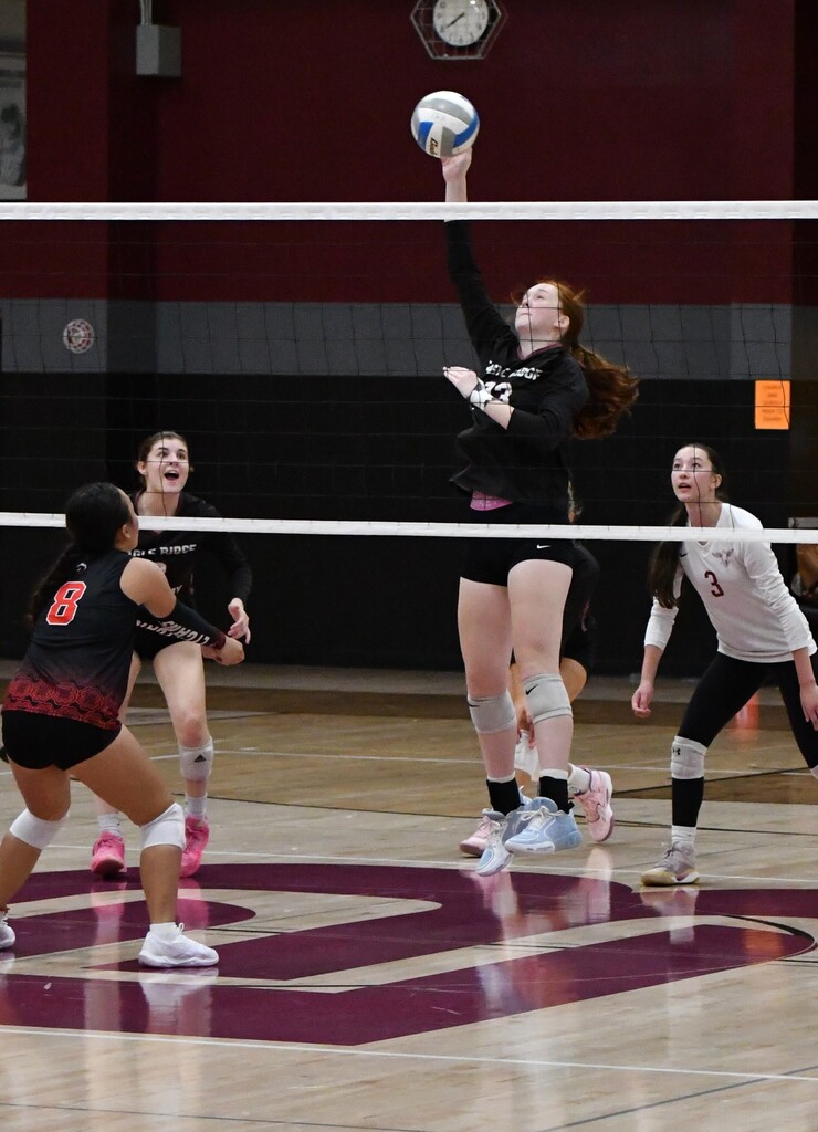 volleyball