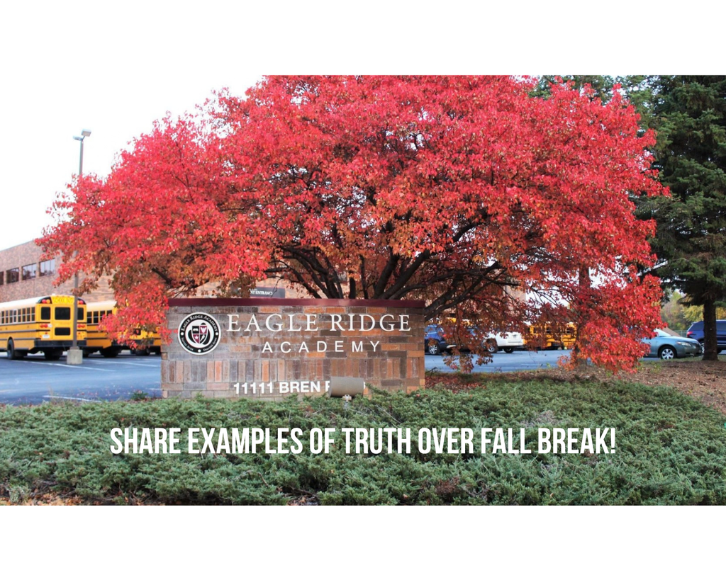 fall tree
