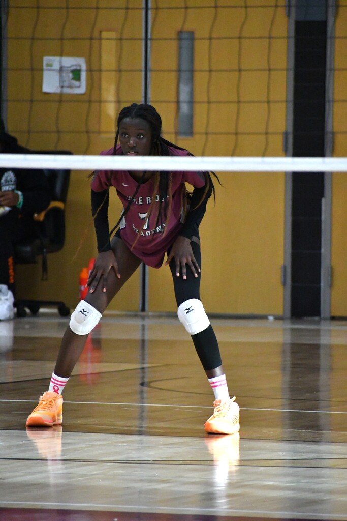 girl behind volleyball net