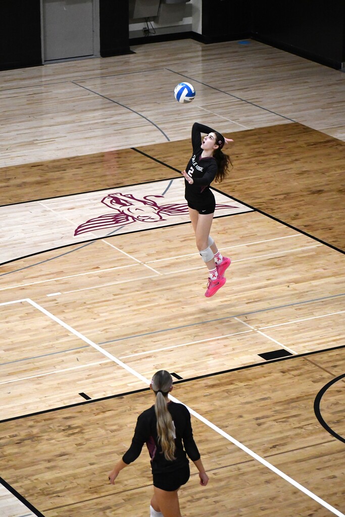 girl humping for volleyball