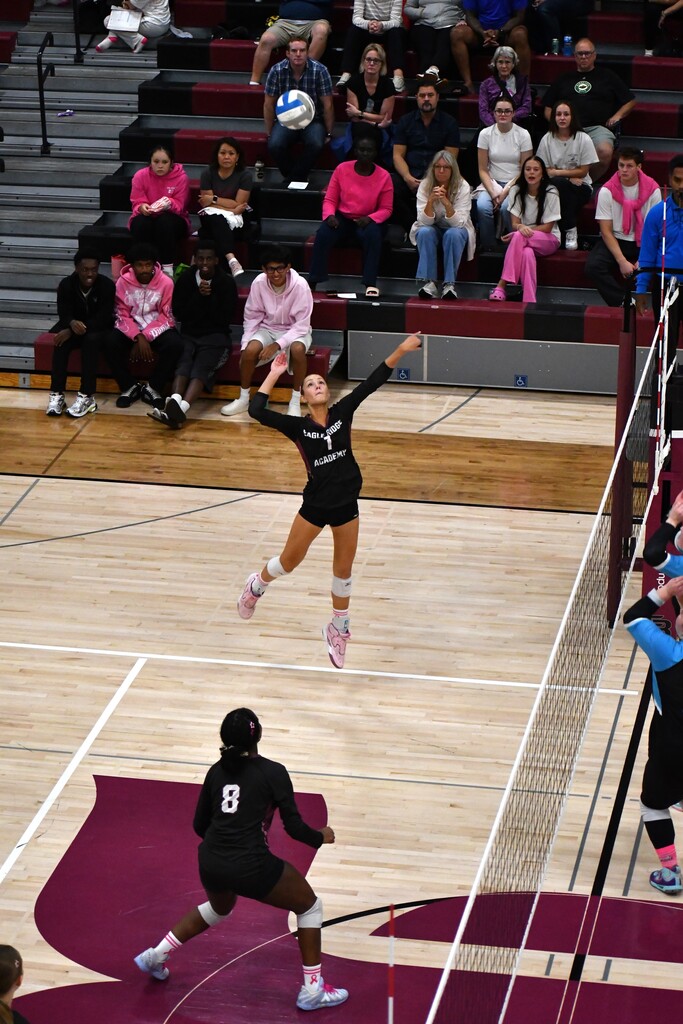 volleyball spike