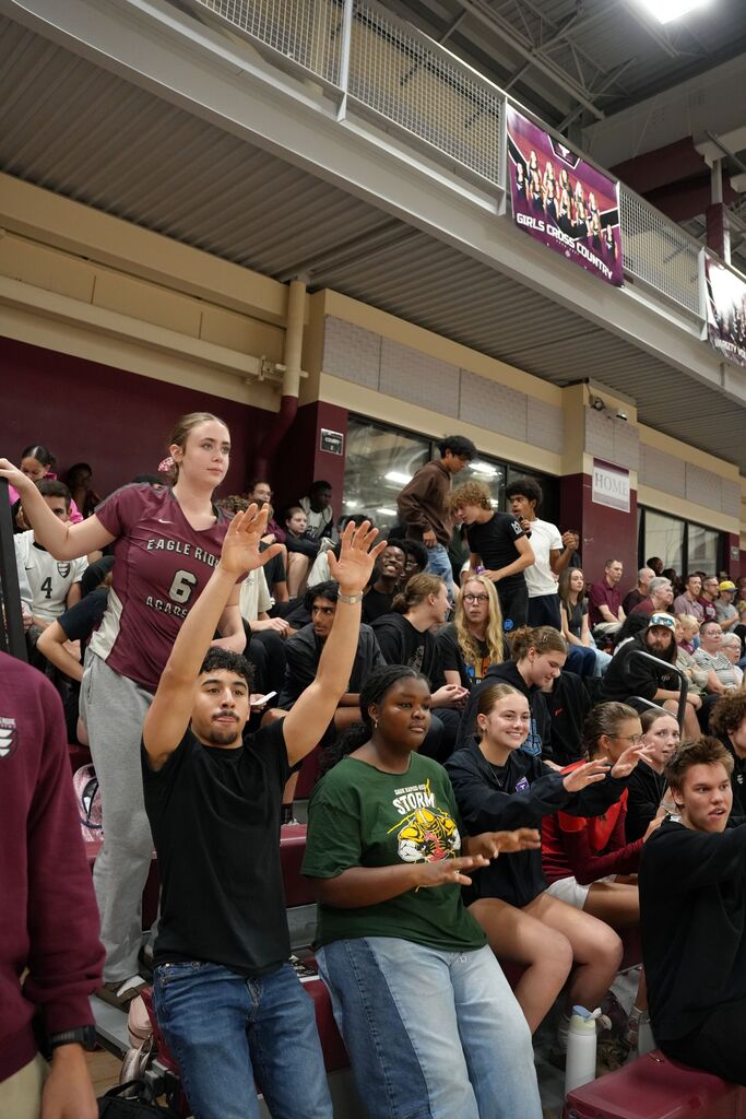 crowd