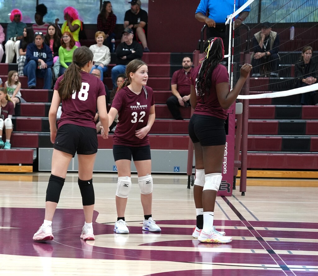 volleyball team getting ready to serve
