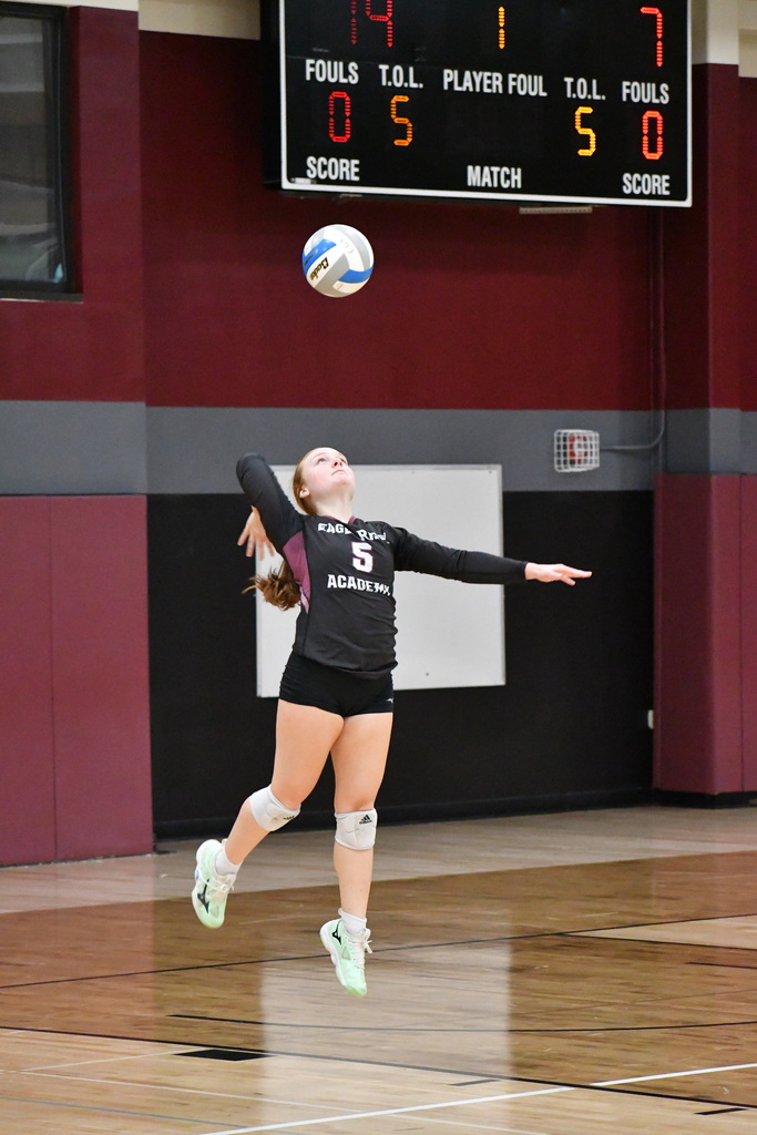 volleyball playing serving