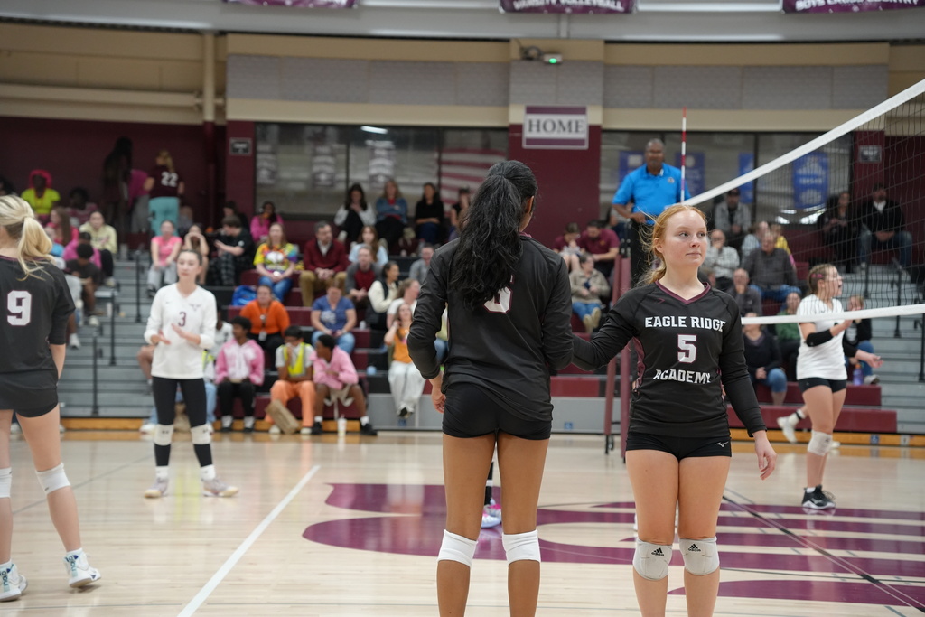 volleyball players