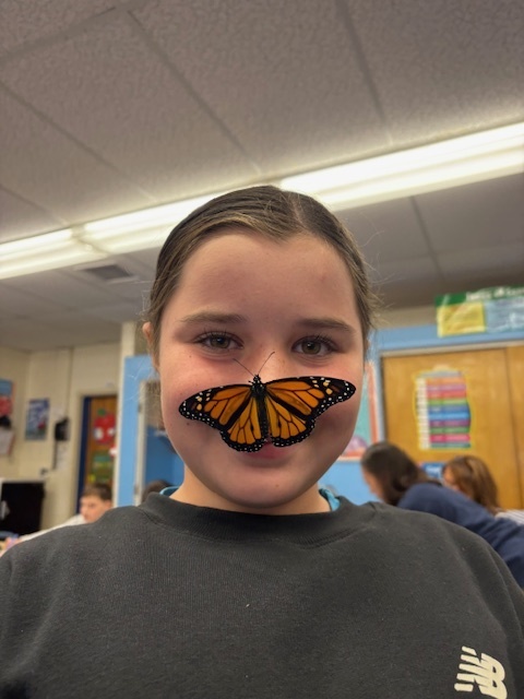 monarchs