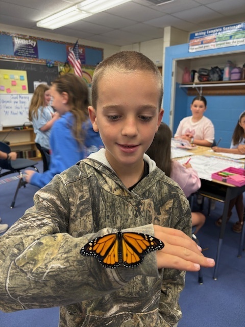 monarchs