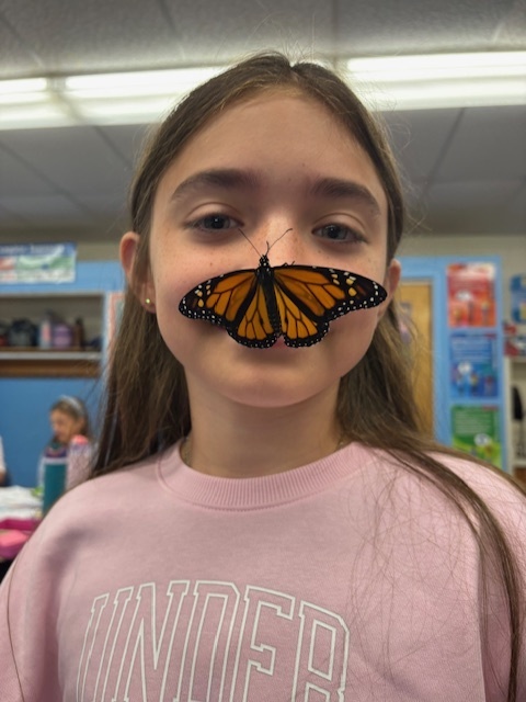 monarchs