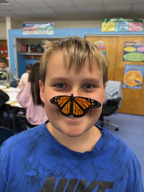 monarchs