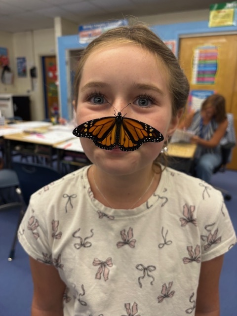 monarchs