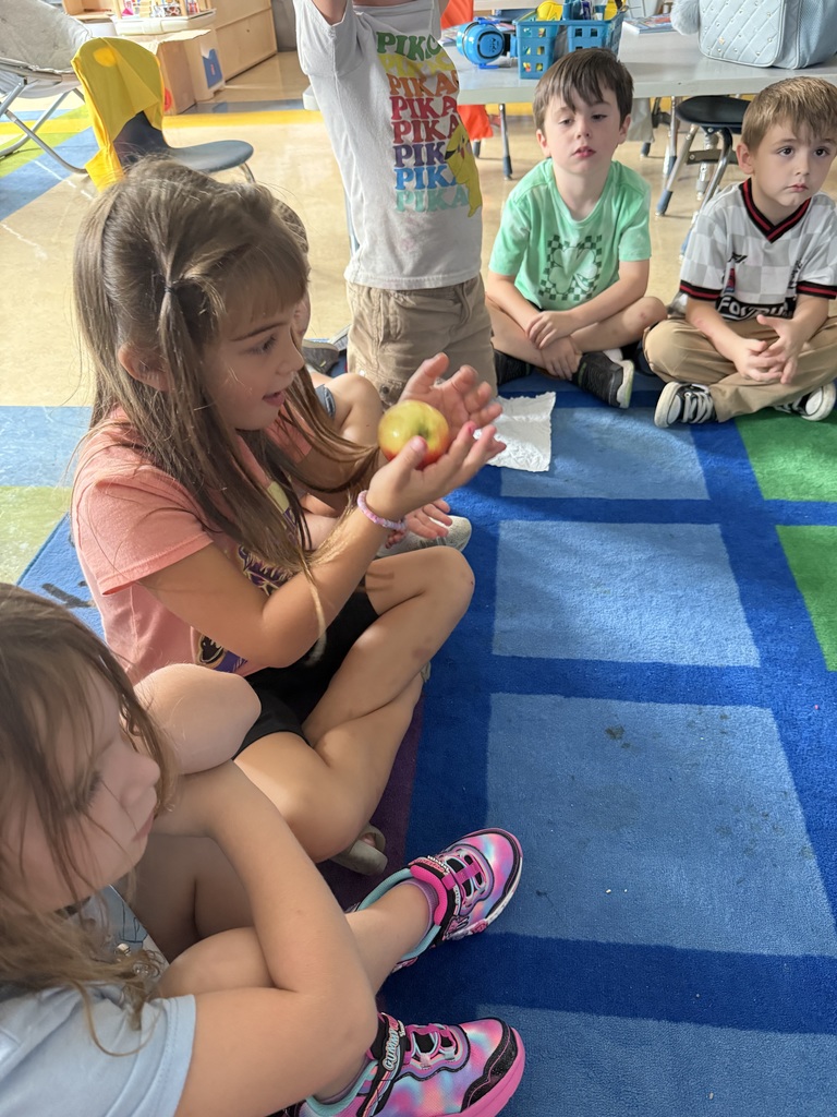 Kindergarten apple lesson