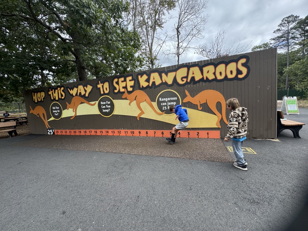 3rd grade field trip to the zoo