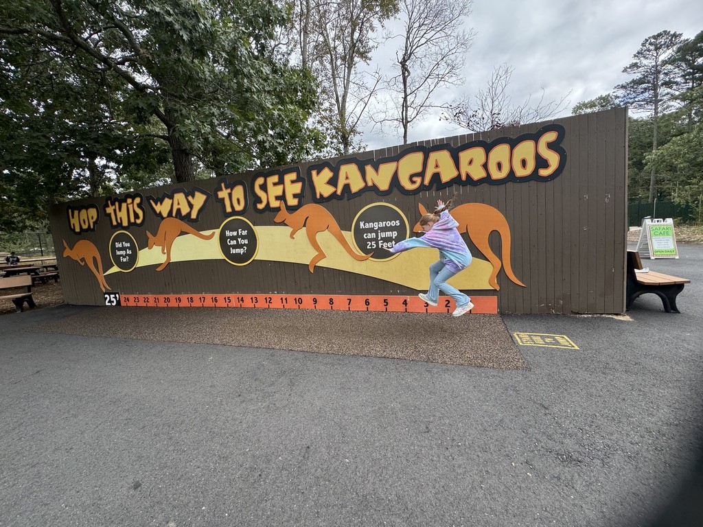 3rd grade field trip to the zoo