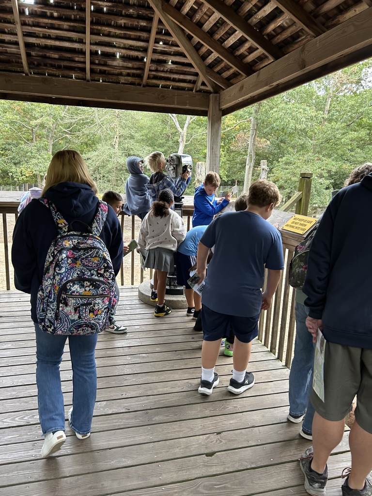 3rd grade field trip to the zoo