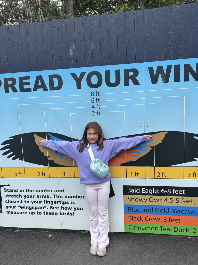 3rd grade field trip to the zoo