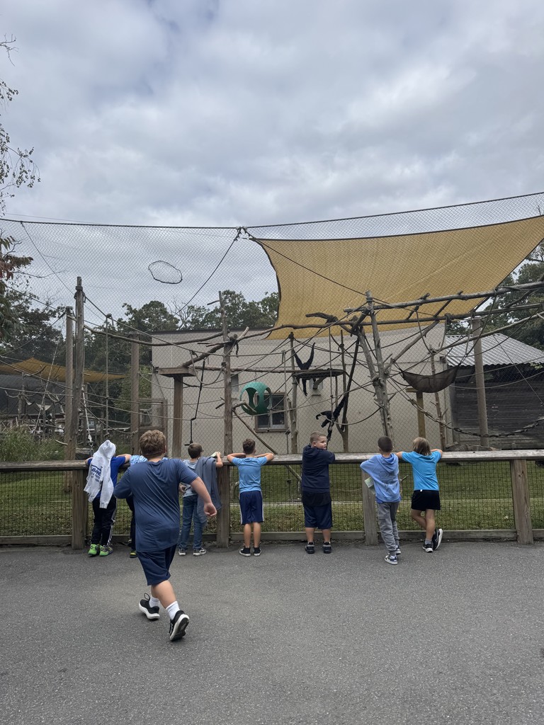 3rd grade field trip to the zoo