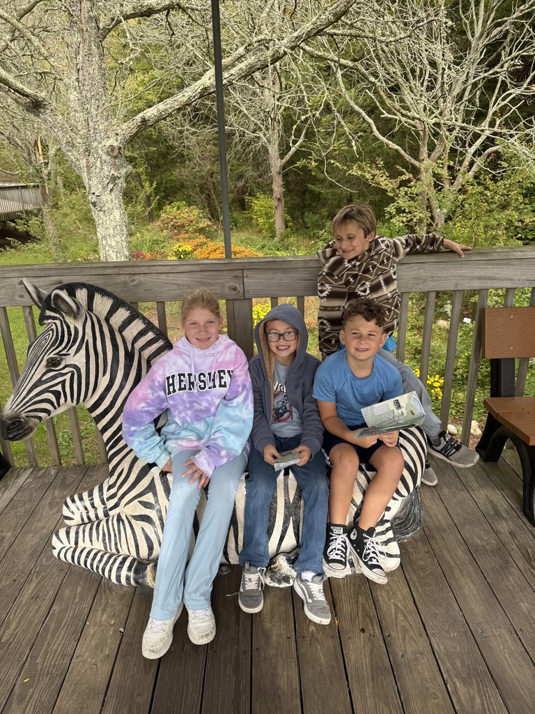 3rd grade field trip to the zoo