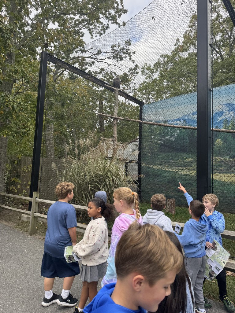3rd grade field trip to the zoo