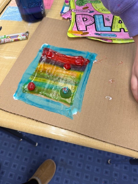 6th grade organelle projects