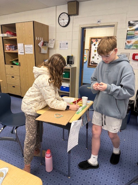 6th grade organelle projects