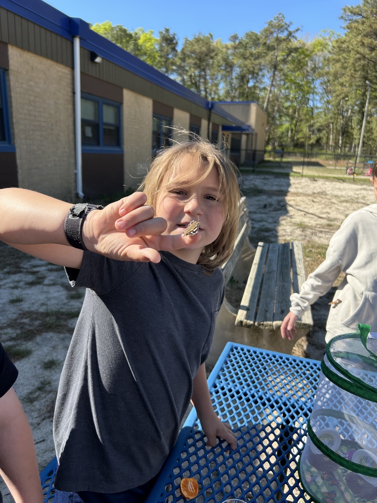 3rd grade butterfly release