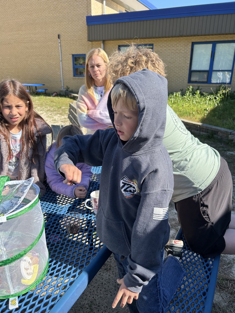 3rd grade butterfly release